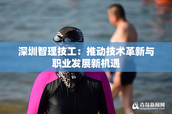 深圳智理技工：推动技术革新与职业发展新机遇