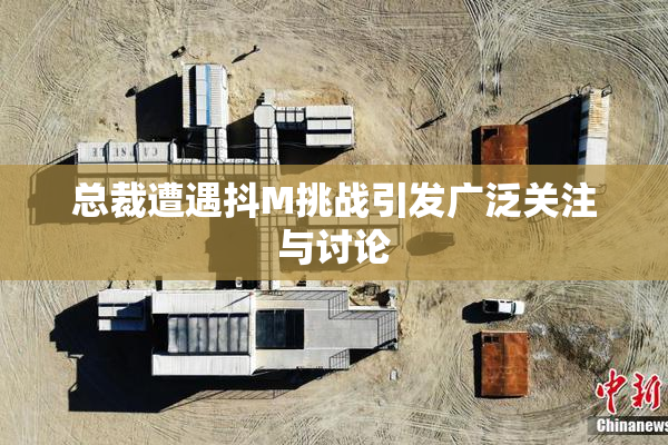 总裁遭遇抖M挑战引发广泛关注与讨论