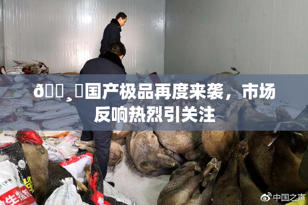 🌸‌国产极品再度来袭，市场反响热烈引关注