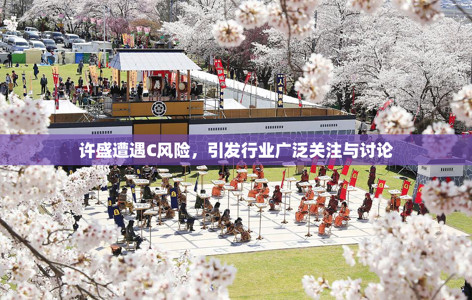 许盛遭遇C风险，引发行业广泛关注与讨论