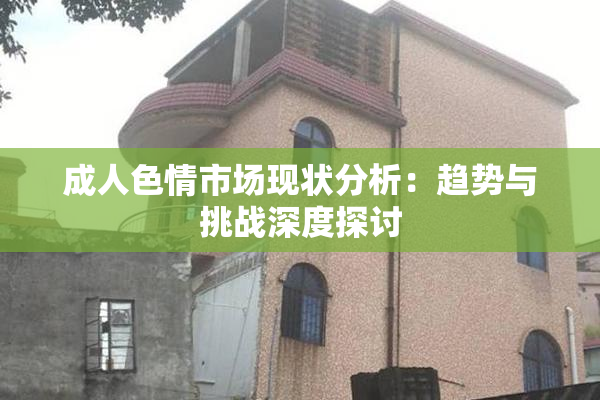 成人色情市场现状分析：趋势与挑战深度探讨