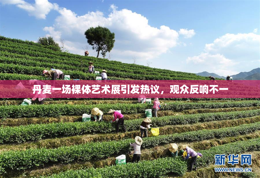 丹麦一场裸体艺术展引发热议，观众反响不一