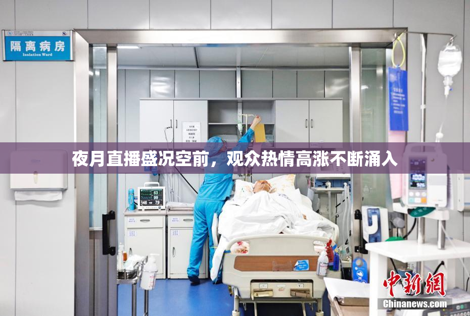夜月直播盛况空前，观众热情高涨不断涌入
