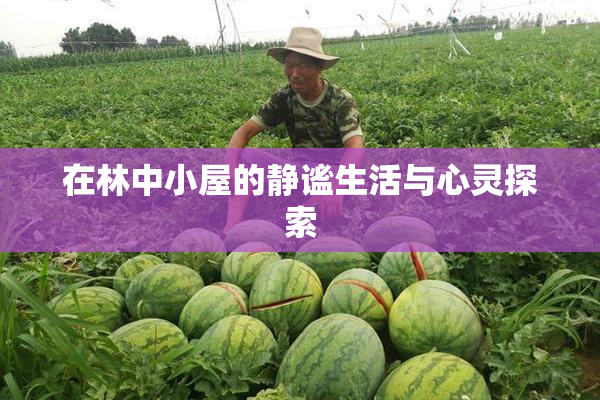 在林中小屋的静谧生活与心灵探索