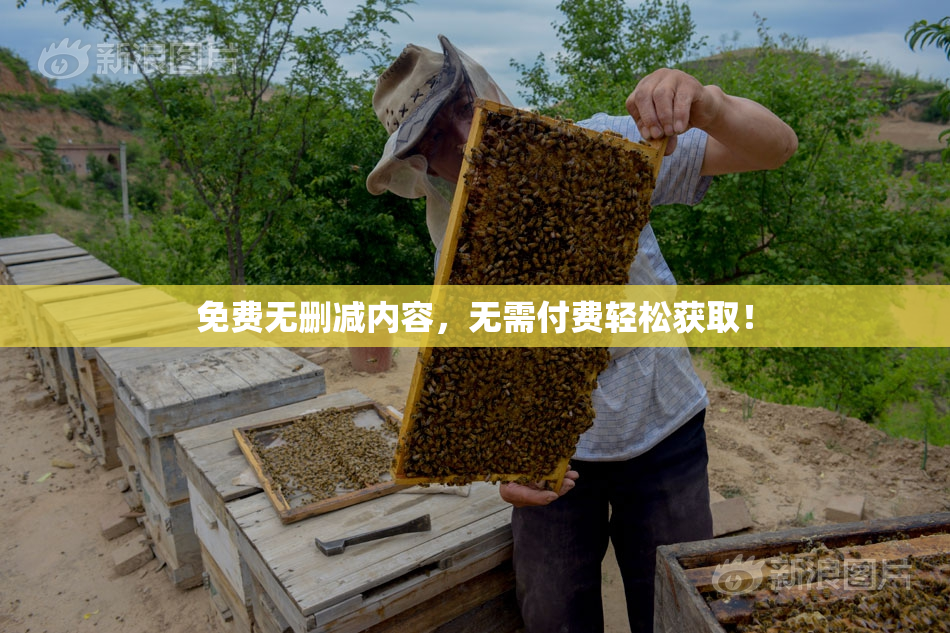 免费无删减内容，无需付费轻松获取！