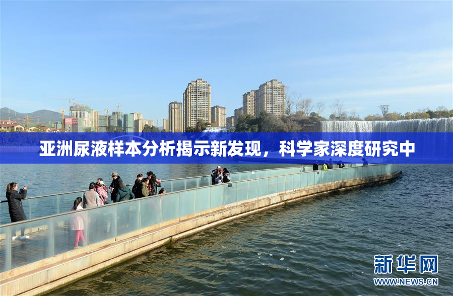 亚洲尿液样本分析揭示新发现，科学家深度研究中