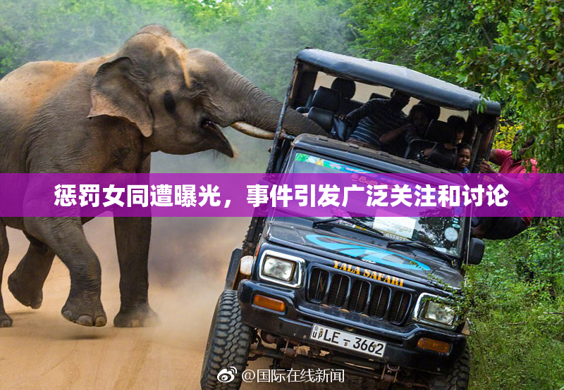 惩罚女同遭曝光，事件引发广泛关注和讨论