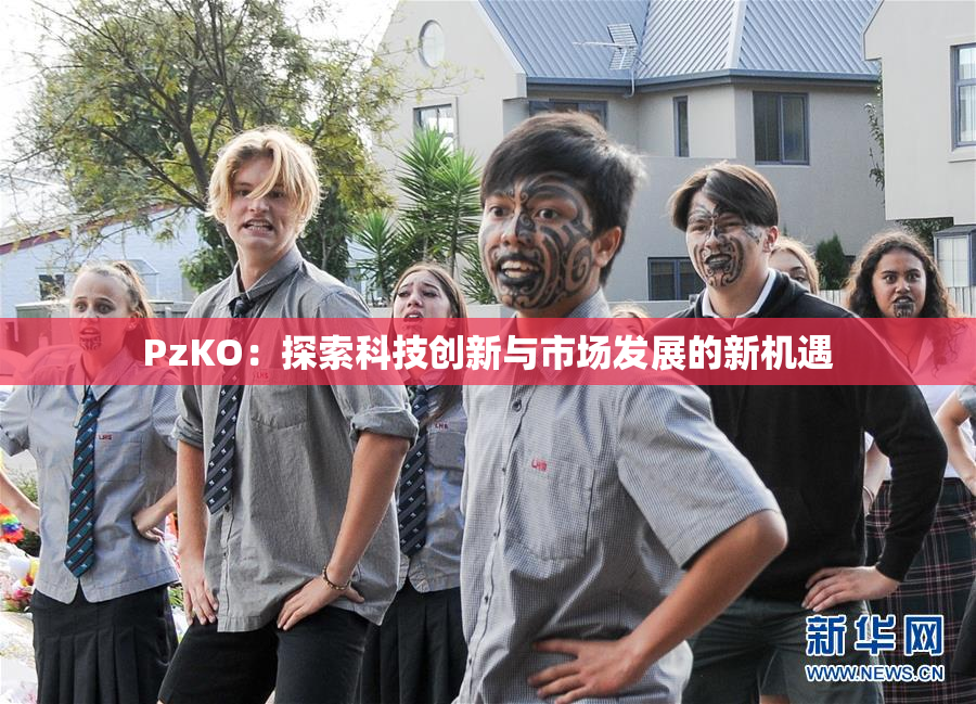 PzKO：探索科技创新与市场发展的新机遇