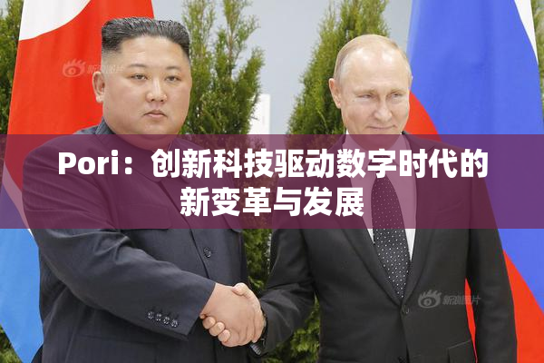 Pori：创新科技驱动数字时代的新变革与发展
