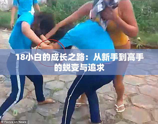 18小白的成长之路：从新手到高手的蜕变与追求
