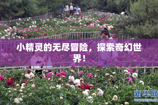 小精灵的无尽冒险，探索奇幻世界！