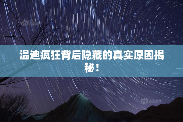 温迪疯狂背后隐藏的真实原因揭秘！