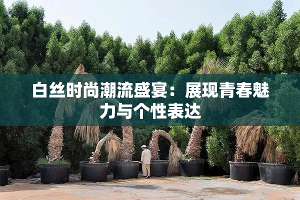 白丝时尚潮流盛宴：展现青春魅力与个性表达