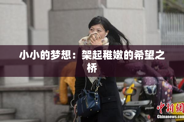 小小的梦想：架起稚嫩的希望之桥