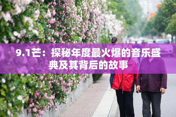 9.1芒：探秘年度最火爆的音乐盛典及其背后的故事