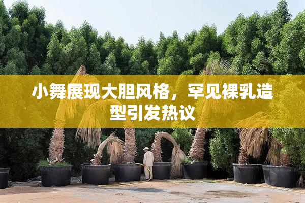 小舞展现大胆风格，罕见裸乳造型引发热议