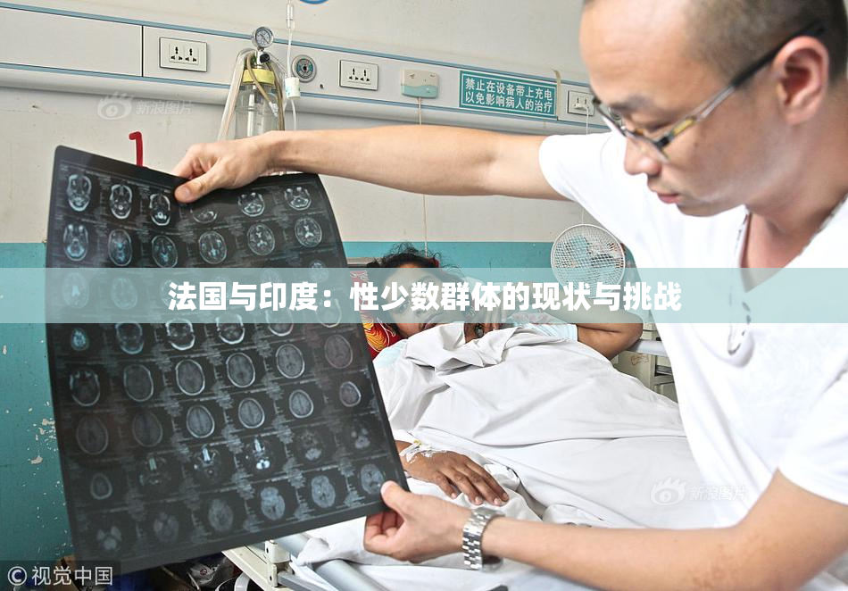 法国与印度：性少数群体的现状与挑战