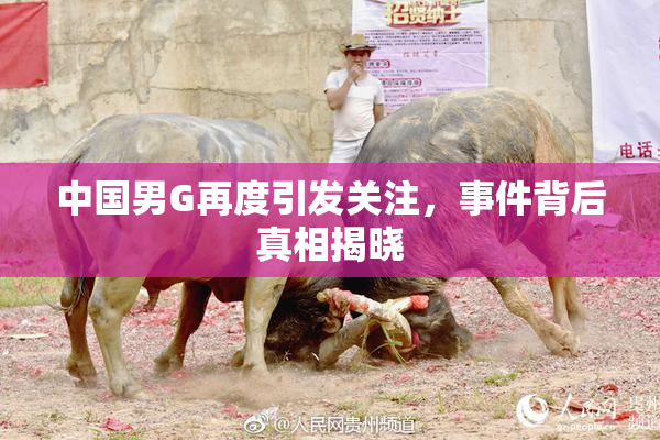 中国男G再度引发关注，事件背后真相揭晓