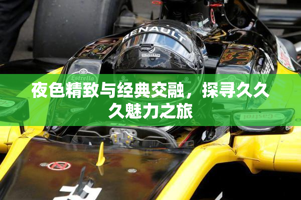 夜色精致与经典交融，探寻久久久魅力之旅