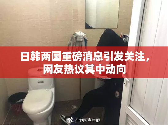 日韩两国重磅消息引发关注，网友热议其中动向