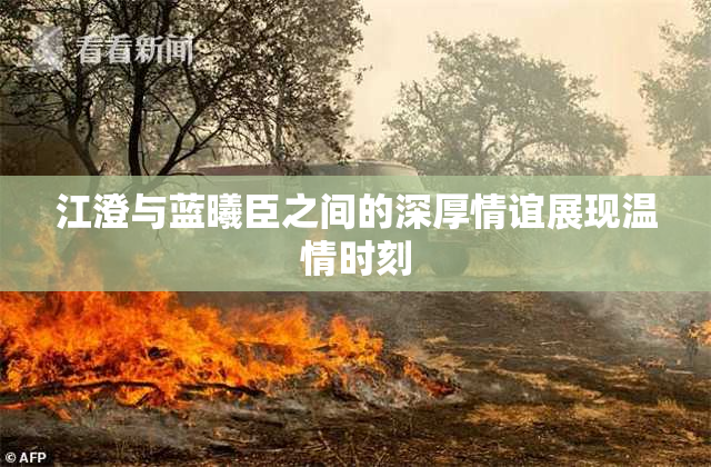 江澄与蓝曦臣之间的深厚情谊展现温情时刻
