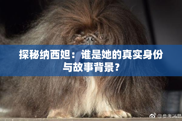 探秘纳西妲：谁是她的真实身份与故事背景？