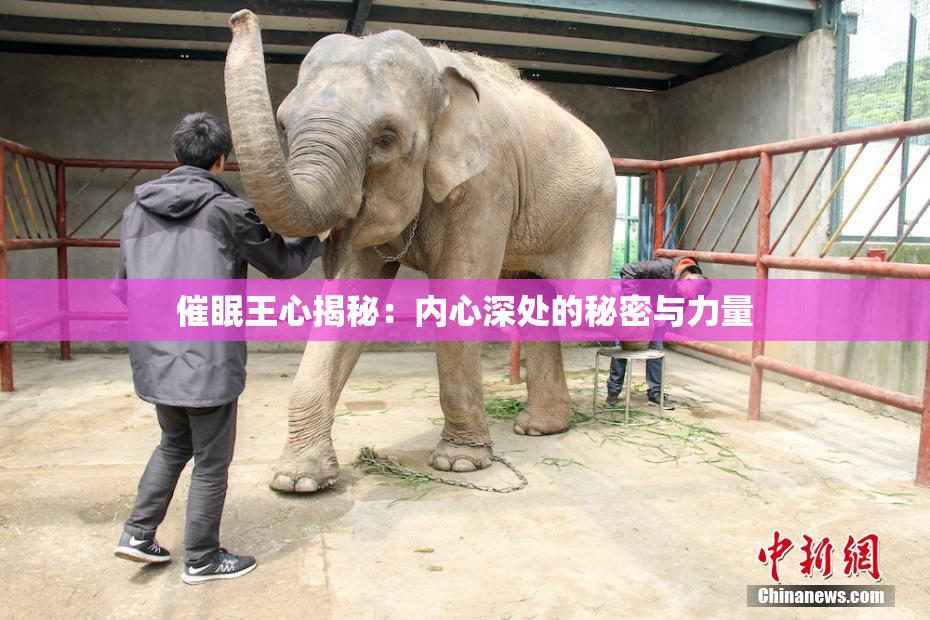 催眠王心揭秘：内心深处的秘密与力量