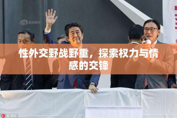 性外交野战野重，探索权力与情感的交锋