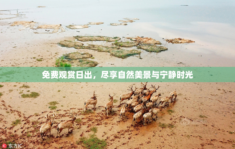 免费观赏日出，尽享自然美景与宁静时光