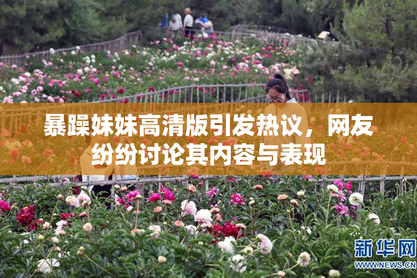 暴躁妹妹高清版引发热议，网友纷纷讨论其内容与表现