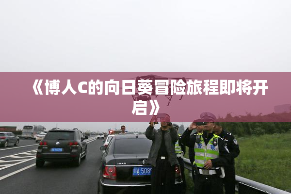 《博人C的向日葵冒险旅程即将开启》