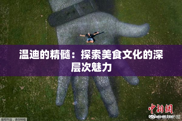 温迪的精髓：探索美食文化的深层次魅力