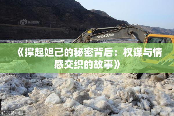 《撑起妲己的秘密背后：权谋与情感交织的故事》