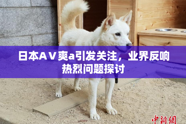 日本AⅤ爽a引发关注，业界反响热烈问题探讨