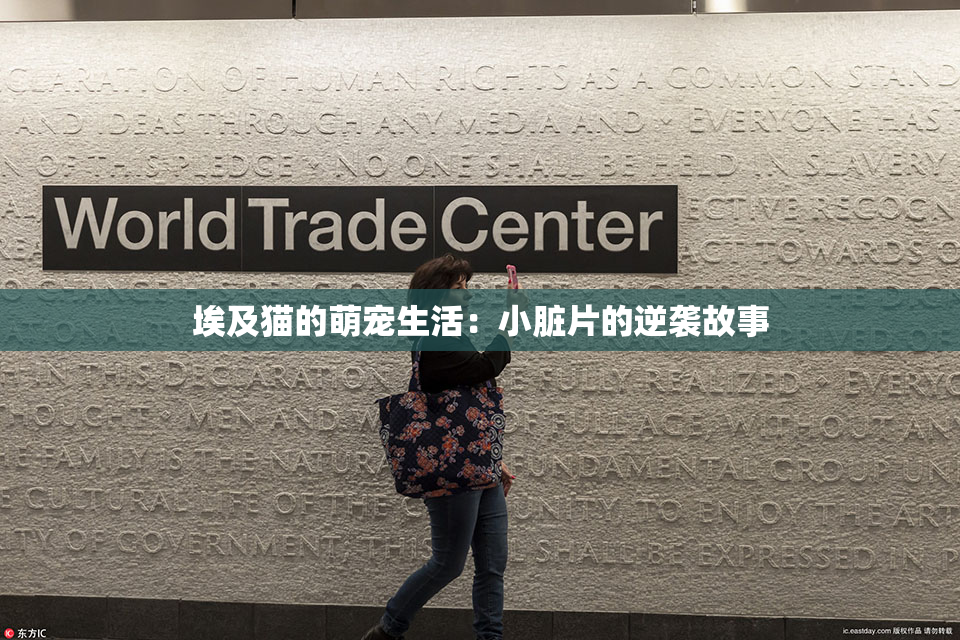 埃及猫的萌宠生活：小脏片的逆袭故事