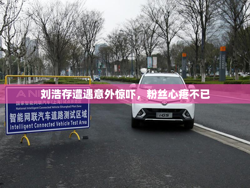 刘浩存遭遇意外惊吓，粉丝心疼不已