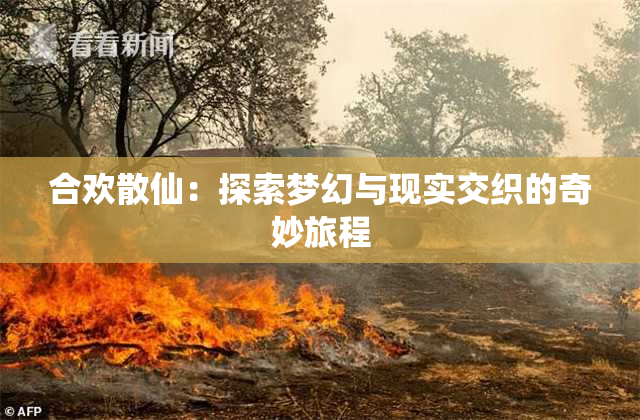 合欢散仙：探索梦幻与现实交织的奇妙旅程