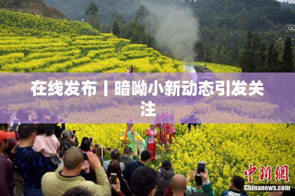 在线发布丨暗呦小新动态引发关注