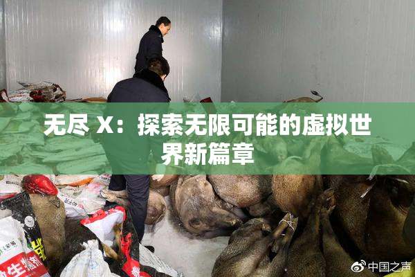 无尽 X：探索无限可能的虚拟世界新篇章