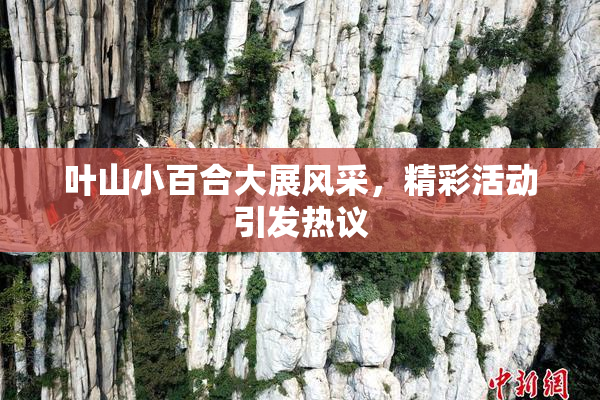 叶山小百合大展风采，精彩活动引发热议