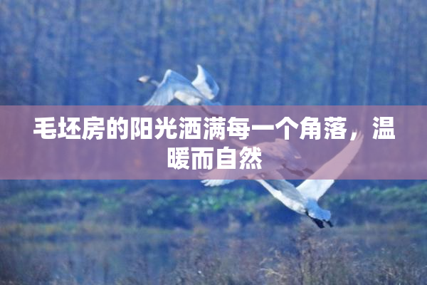 毛坯房的阳光洒满每一个角落，温暖而自然