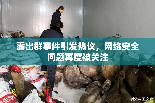 露出群事件引发热议，网络安全问题再度被关注