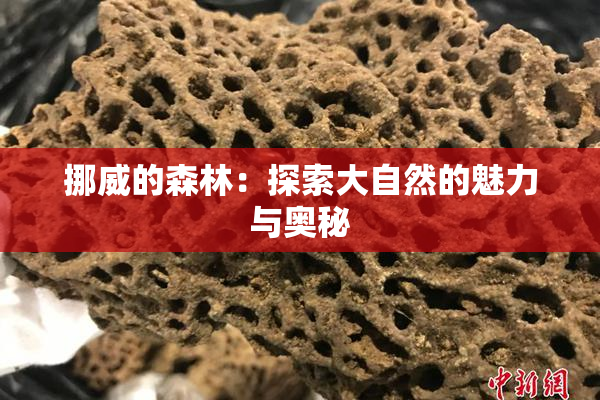 挪威的森林：探索大自然的魅力与奥秘