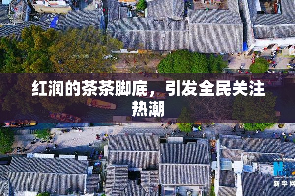 红润的茶茶脚底，引发全民关注热潮