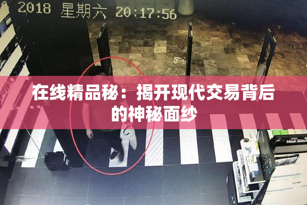在线精品秘：揭开现代交易背后的神秘面纱