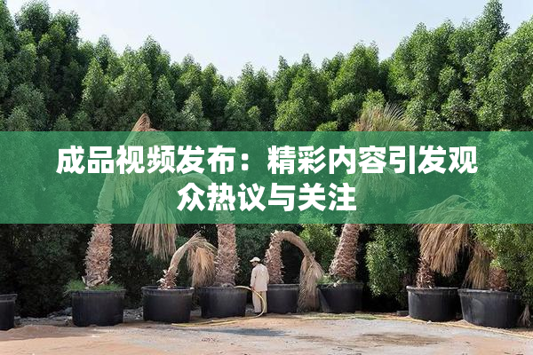 成品视频发布：精彩内容引发观众热议与关注