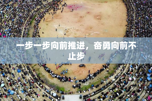 一步一步向前推进，奋勇向前不止步