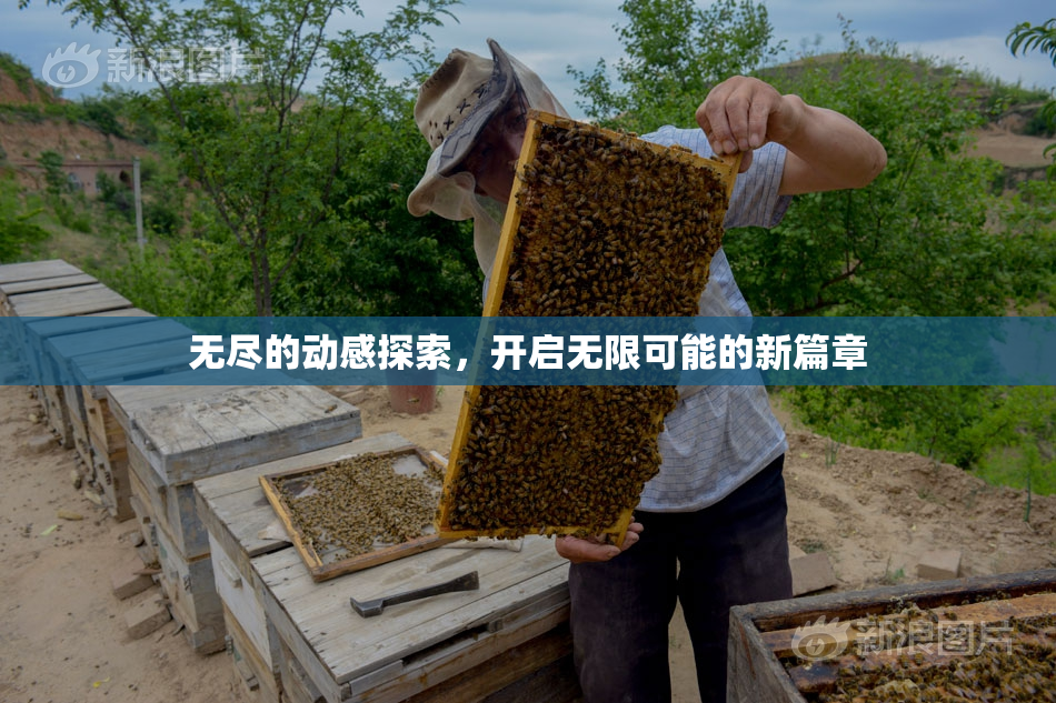 无尽的动感探索，开启无限可能的新篇章