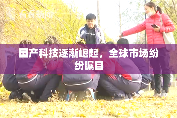 国产科技逐渐崛起，全球市场纷纷瞩目
