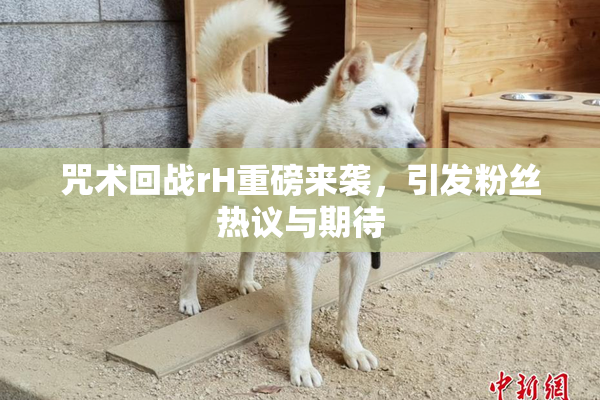 咒术回战rH重磅来袭，引发粉丝热议与期待